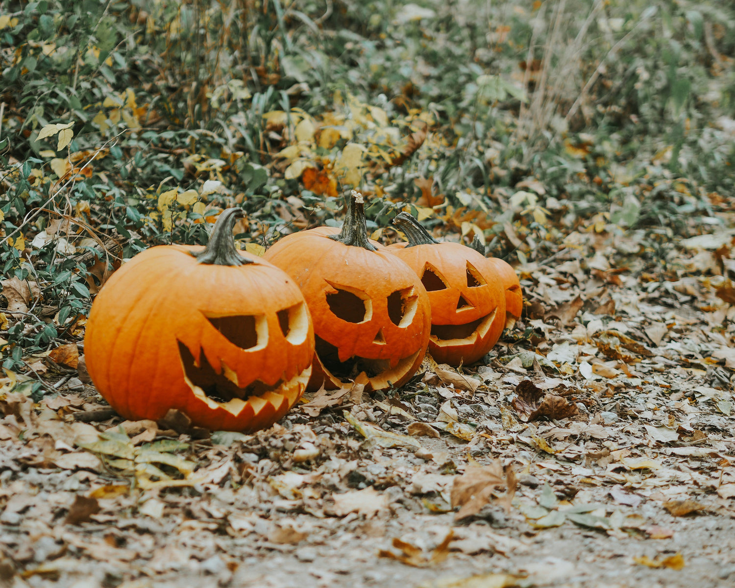 Treat Yourself Without the Tricks!
