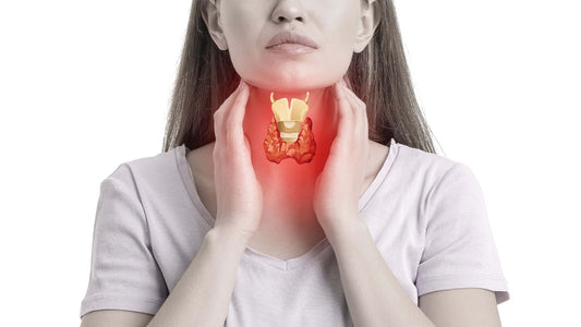Understanding the Thyroid Gland: Definitions, Disorders, & Support