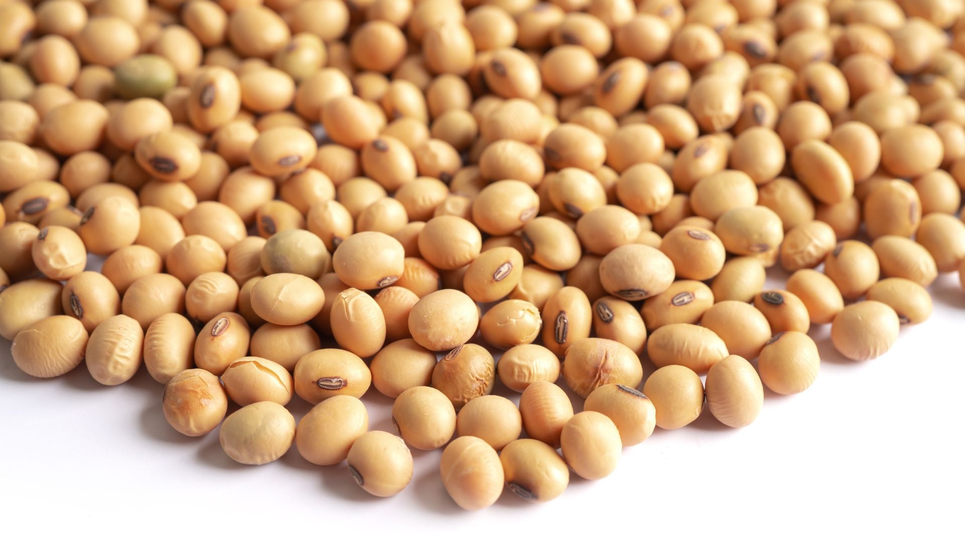 Why Soy Foods Are Healthy and May Prevent Breast Cancer