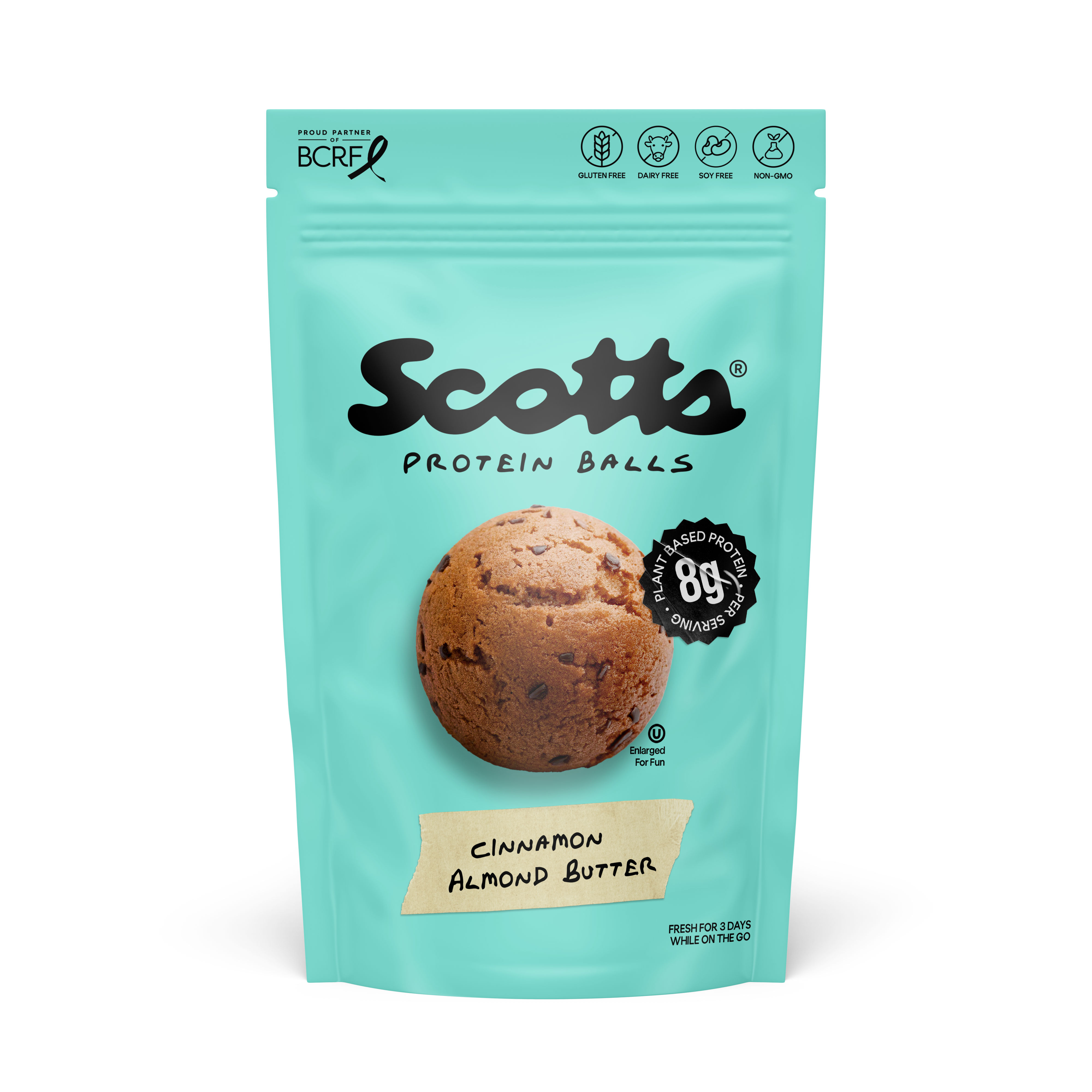 Snickerdoodle protein ball flavor